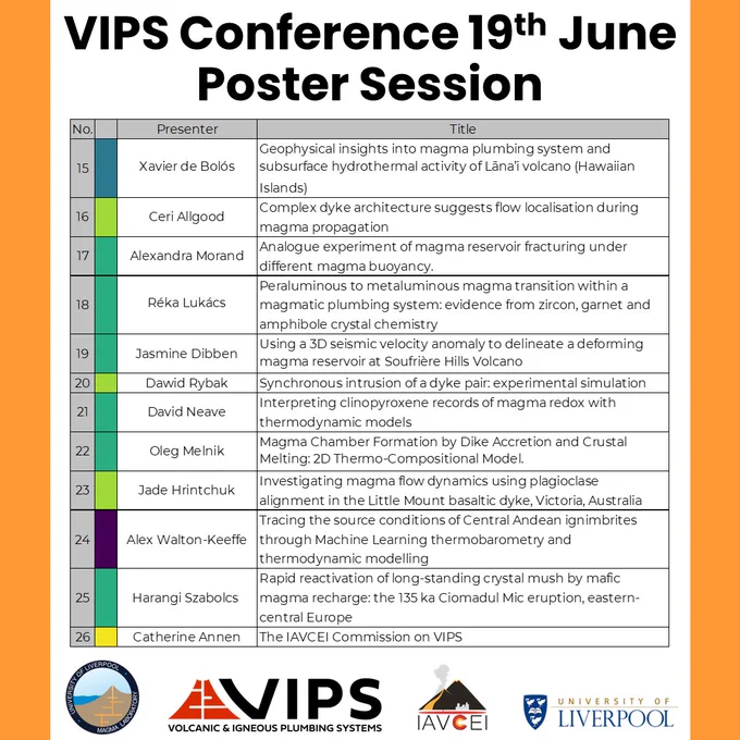 VIPS conference poster session part 2.