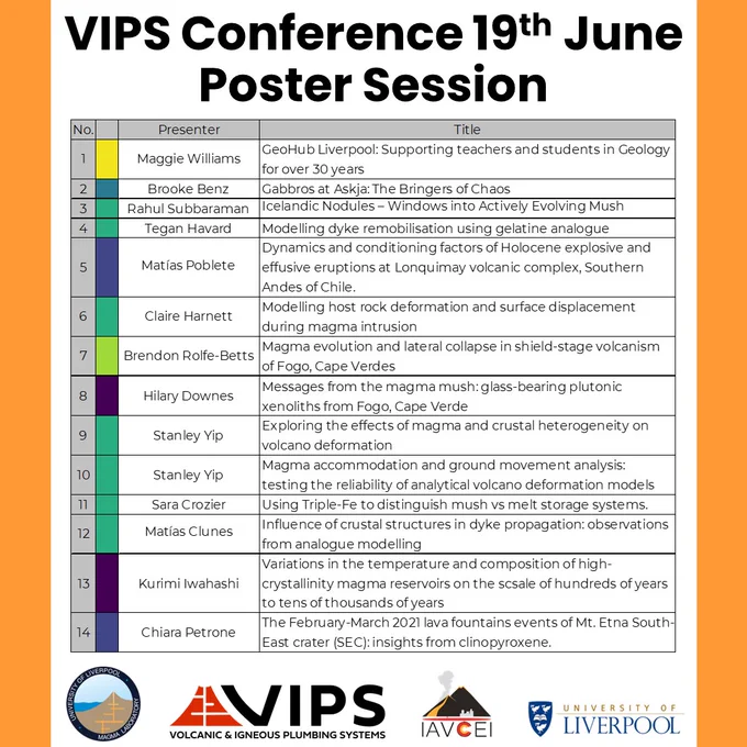 VIPS conference poster session part 1.