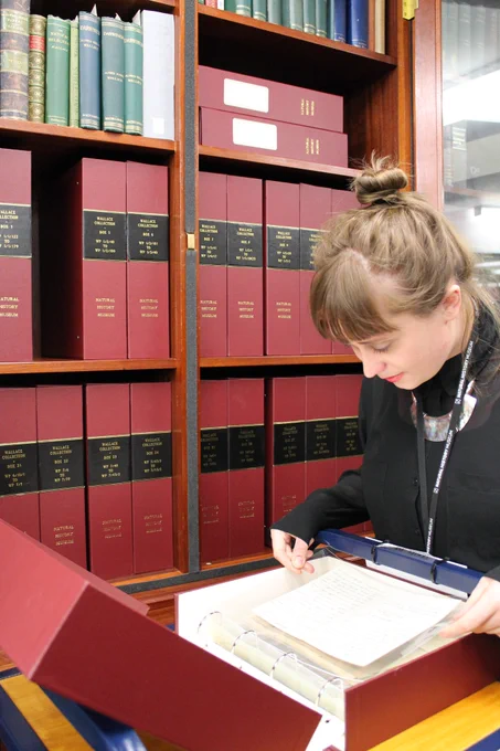 Someone looking through a box of archives, standing in front of a bookshelf full of more boxes.
