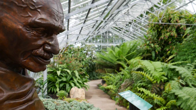 The interior of a glasshouse or winter garden. in the background ferns and other foliage. In the foreground to the left a profile view of a bust of Mahtma Gandhi