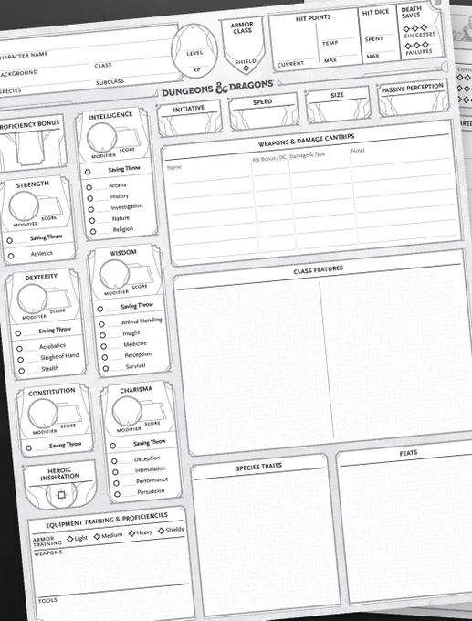 D&D's new character sheet