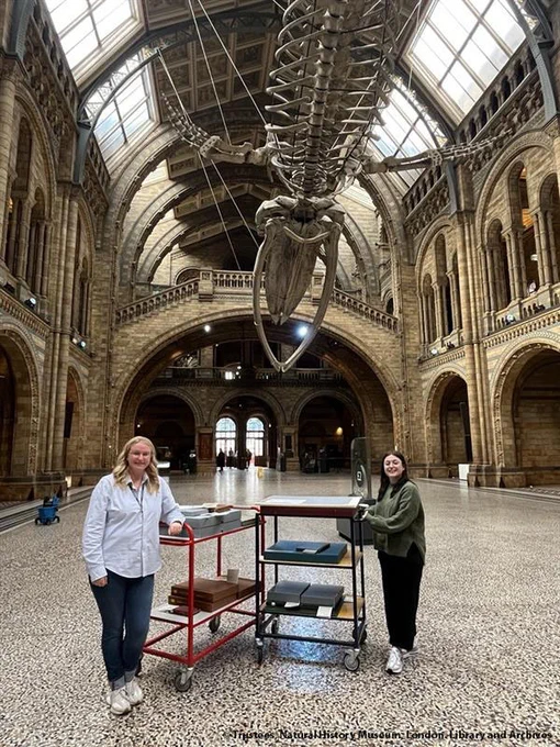 Two people with library trollies in the main hall of the Natural History Museum