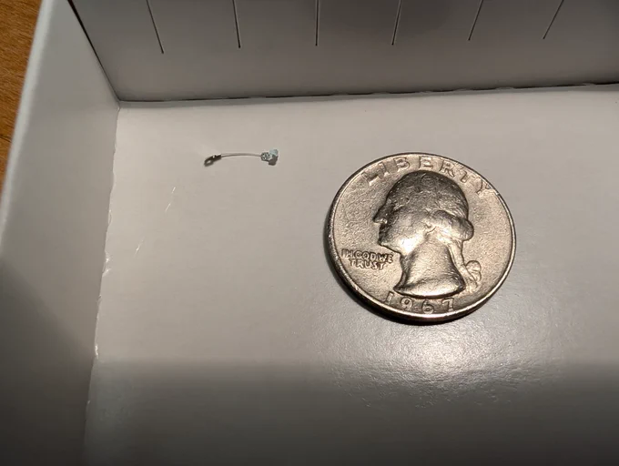 A mounted sample of biodegradable fishing line next to a US quarter coin for size comparison.