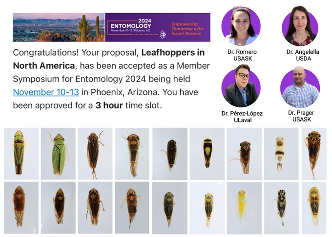Announcement of Leafhoppers in North America symposium at Entomology 2024