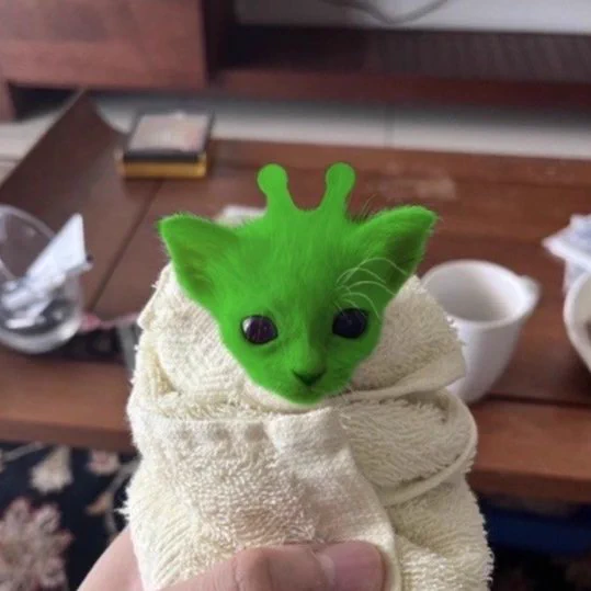 alien kitten swaddled in a white with a yellow tint towel