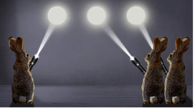 Researchers at Kyushu University have further explored the visual rabbit illusion. The three rabbits represent the actual flashes, while the dots above them show where people perceive the light points. The second dot is usually perceived near the center.

CREDIT
Kyushu University
