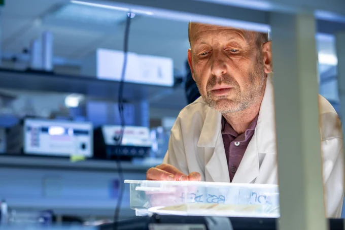 Researcher working in a laboratory 