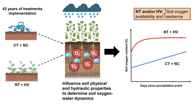 Graphical abstract. No-tillage and cover cropping practices over 42 years influenced soil physical and hydraulic properties which improved soil oxygen availability and its resilience to extreme precipitation events