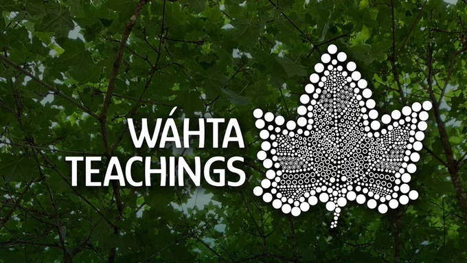 Graphic that reads "Wahta Teachings" with an illustration of a leaf against a background of trees.