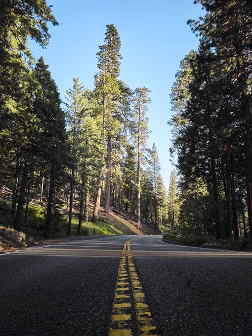 Wawona Road