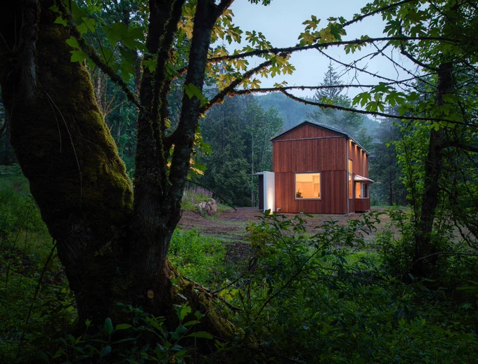 A modern cabin with large windows and wooden siding is situated in a serene forest clearing, illuminated from within during twilight, creating a stark contrast with the lush greenery surrounding it.