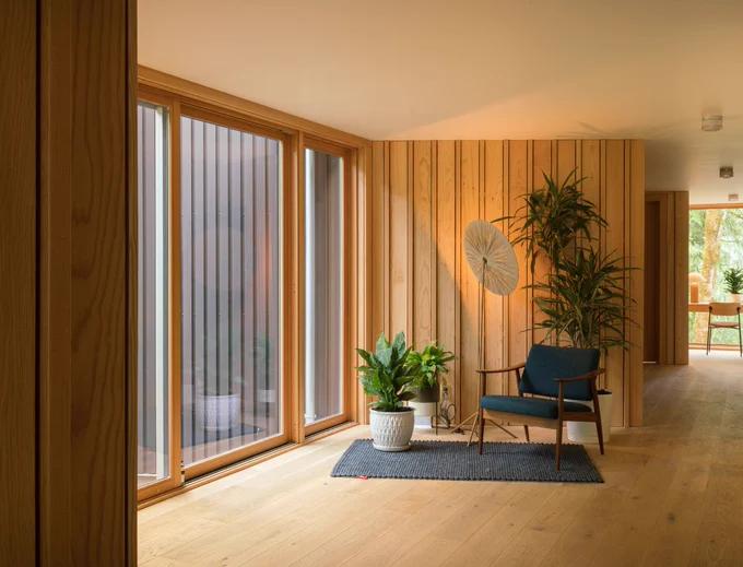 Interior view of a modern living room featuring wooden walls, large glass windows, and a minimalist blue armchair, complemented by various houseplants, setting a serene and warm atmosphere.