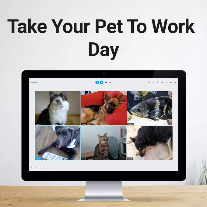 Das Bild zeigt einen Bildschirm, auf dem die Videokonferenzsoftware alfaview geöffnet ist. Als Konferenzteilnehmende sind zwei Katzen, drei Hunde und ein Fisch anwesen.