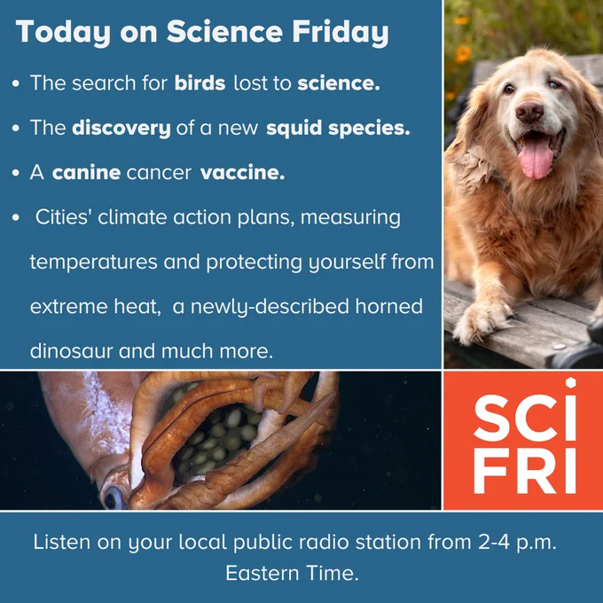 Today on Science Friday 
The search for birds lost to science.
Are cities' climate action plans working?
A canine cancer vaccine
The discovery of a new squid species, measuring temperatures and protecting yourself from extreme heat, and much more 
Listen on your local public radio station from 2-4 p.m. Eastern Time. 
