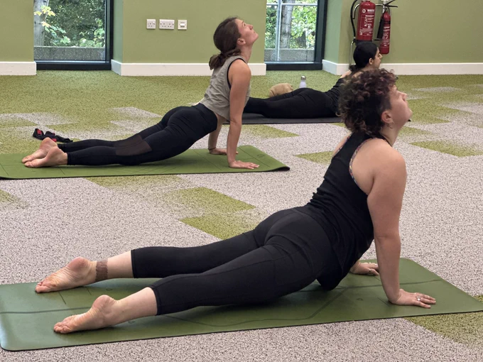 People stretching in yoga class