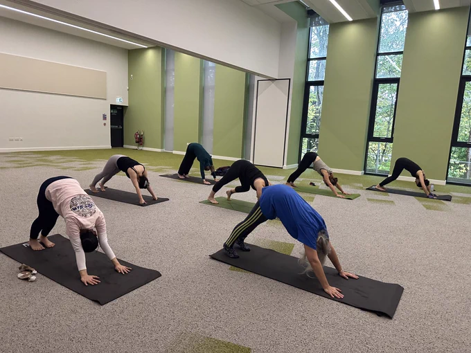 People stretching in yoga class