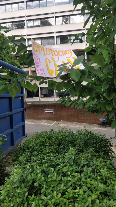 A sign with pink and yellow writing saying emergency call no way out no way out, balanced in the branches of a tree