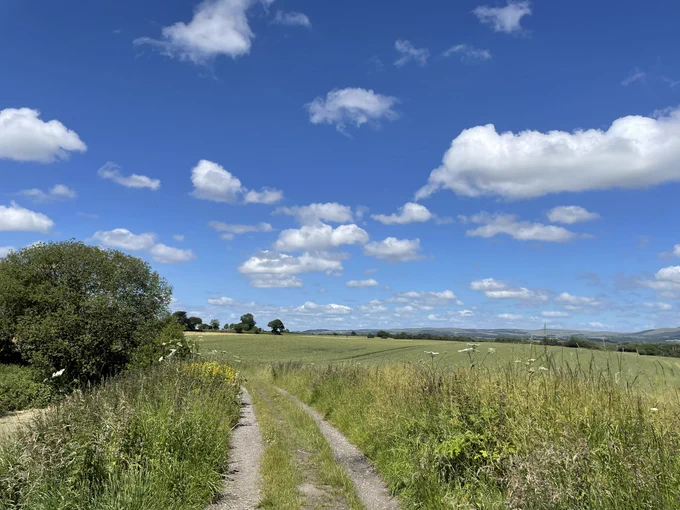 Photo showing g a track down the side of a field. Blue skies with fluffy white clouds and hills in the distance