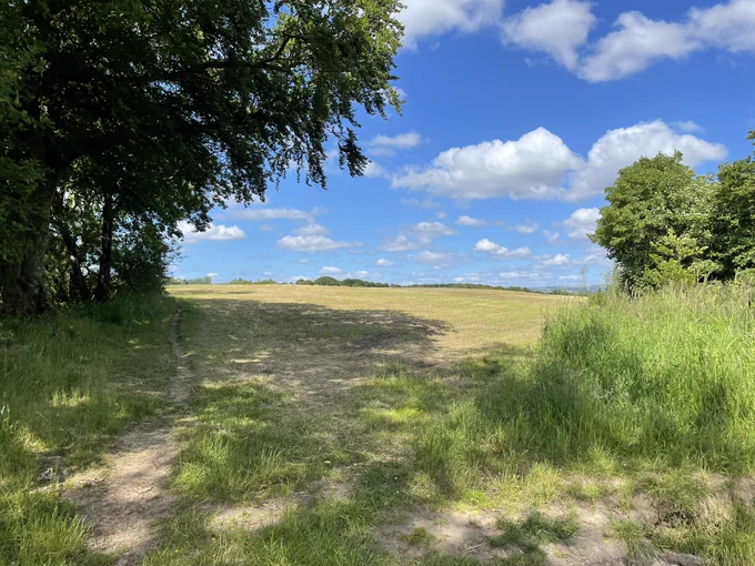 Photo showing a track crossing g the threshold between two green fields. Trees on the left and right. Blue skies
