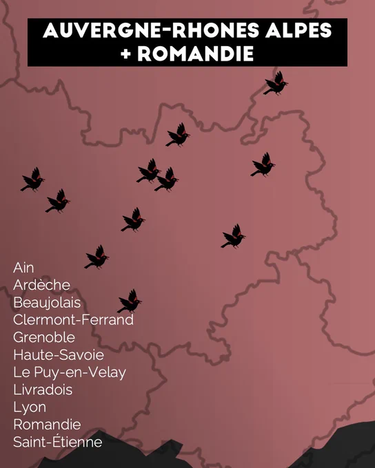 Carte d'Auvergne-Rhone-Alpes avec des merles noirs sur les emplacements de l'Ain, l'Ardèche, le Beaujolais, Clermont-Ferrand, Grenoble, Haute-savoie, Le Puy en Velay, Livradois, Lyon, Romandie et Saint-Étienne.