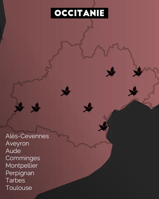 Carte d'Occitanie avec des merles noirs sur les emplacements de Alès, Aveyron, Aude, Comminges, Montpellier, Perpignan, Tarbes, Toulouse