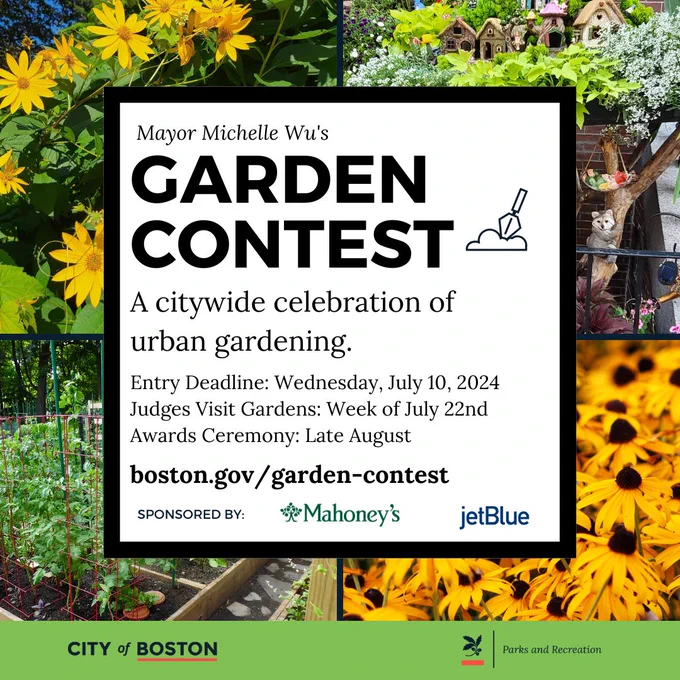 Mayor's Garden Contest