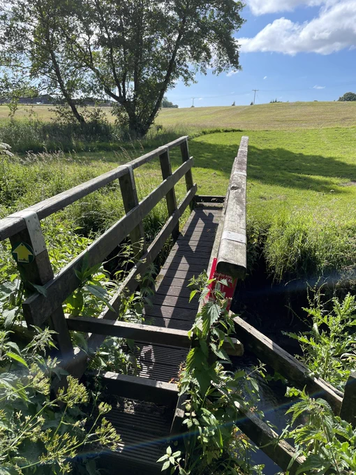 Photo of a wooden footbridge across a stream between two fields