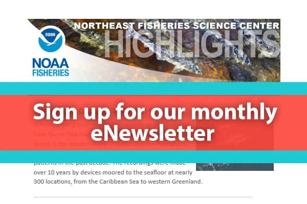 Graphic with a photo of river herring fish swimming in the water as background. “Sign up for our monthly eNewsletter.” NOAA Fisheries logo.