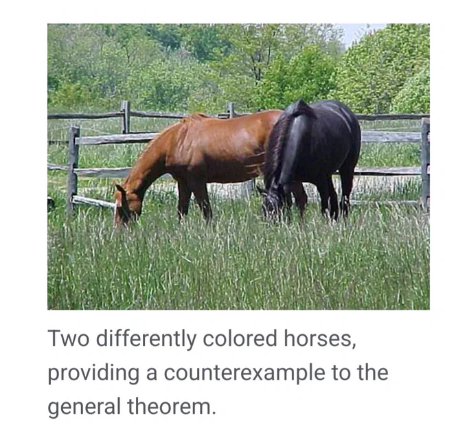 A picture of two horses in a field, captioned "Two differently colored horses, providing a counterexample to the general theorem."