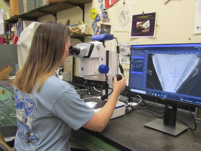 A scientist looking through a microscope. A magnified shark vertebra is displayed on a computer screen.