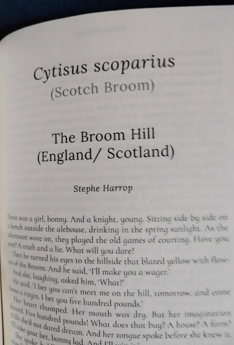 Page from a book. Title reads: The Broom Hill (England / Scotland).