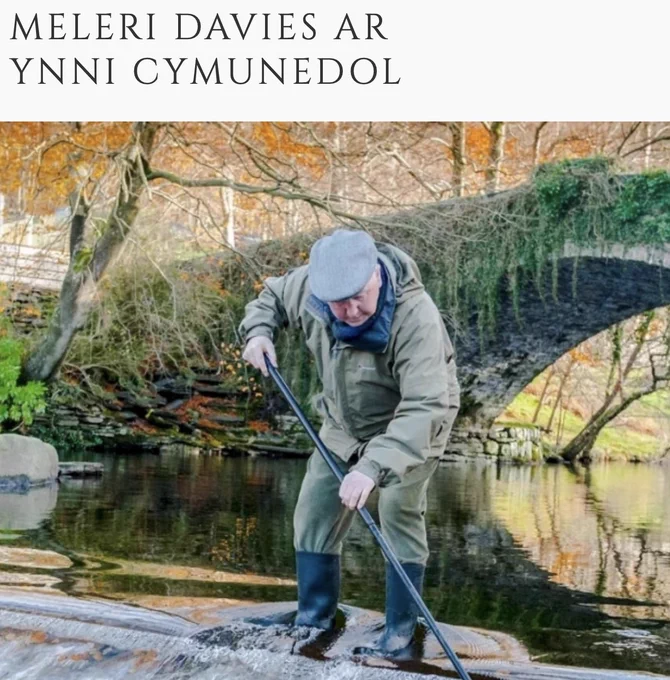 Meleri Davies @MeleriD ar Ynni Cymunedol ID: A white man in overalls and a cap stands in the water of the rover with a sweeping brush, presumably brushing leaves out of the course of the river