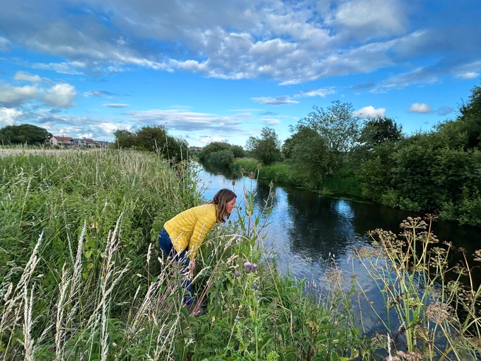 Vikki leaning into the river looking for dead fish