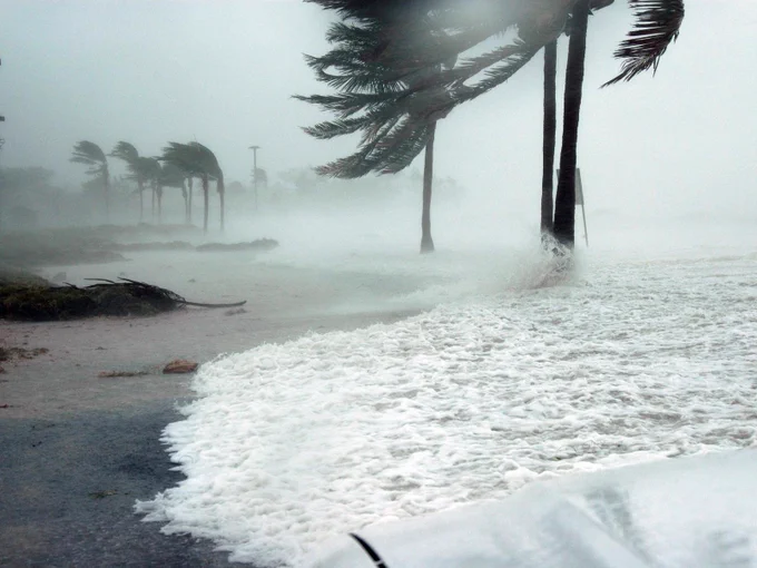 A hurricane blowing palm trees and lashing water against a beach