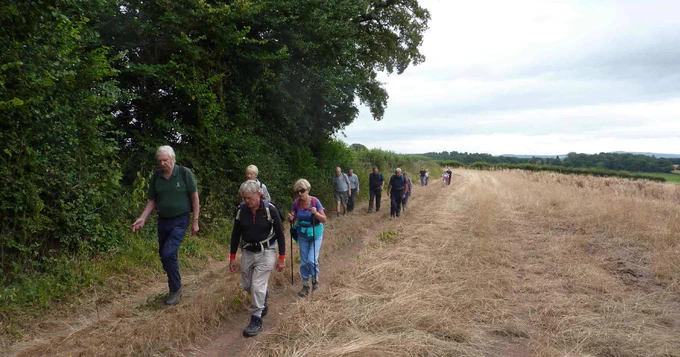 Aa group of walkers