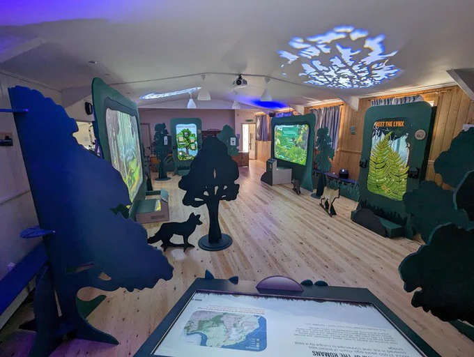 This exhibition features audiovisual displays that bring to life the woodlands where lynx could live. 