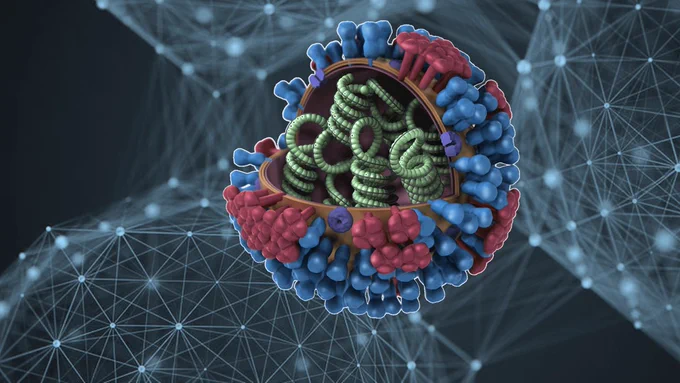 A 3D graphic of an influenza virus showing the external proteins and a cutaway into the genome organisation. The background shows a densely connected network of nodes.