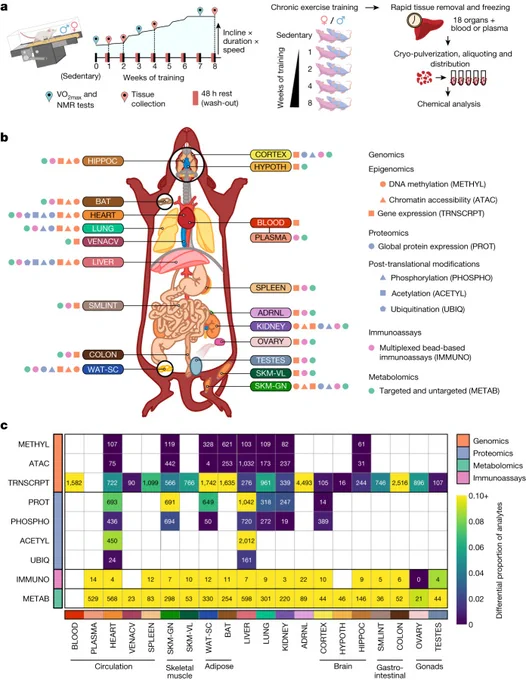 Summary of the study design and multi-omics dataset.