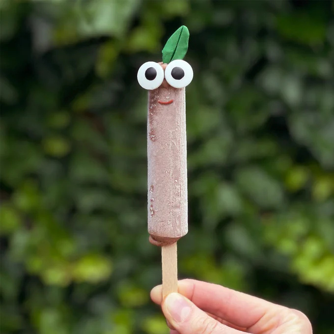 A garden background with a chocolate ice cream - which has googly eyes and a leaf ontop, to look like Stick!