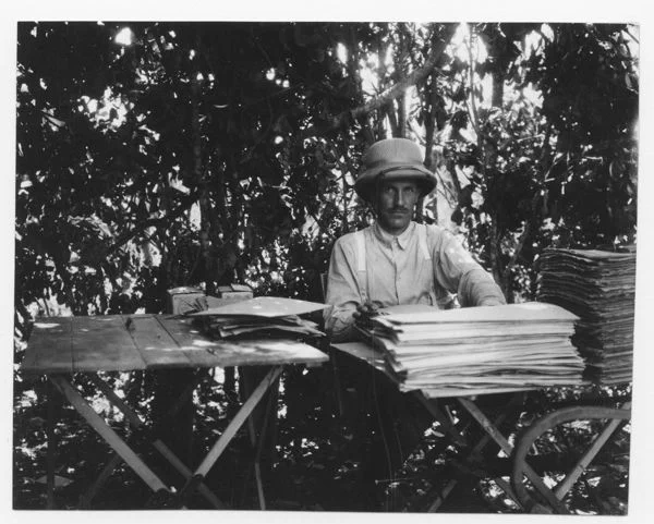 A man wearing a hat sits at a table outdoors, surrounded by trees, with large stacks of papers in front of him.