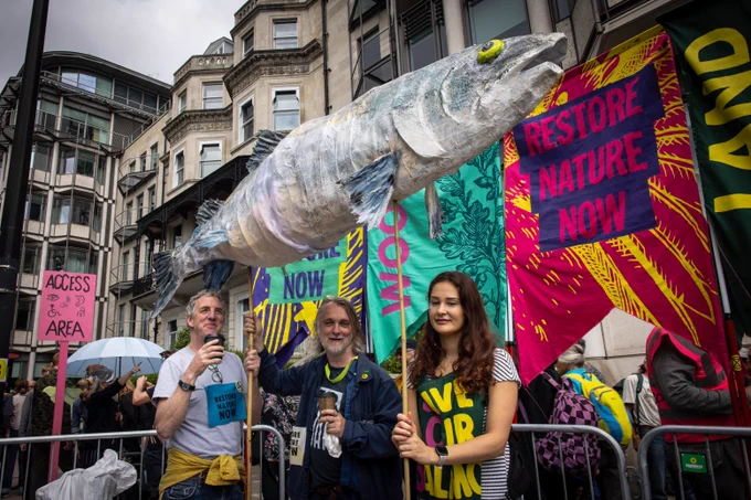 A large salmon puppet held aloft by three protesters