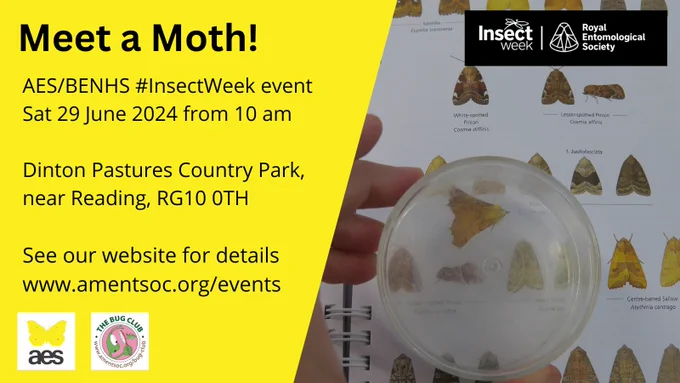 Graphic with photograph of a moth identification guide book and text with Meet a Moth! AES/BENHS #InsectWeek event Sat 29 June 2024 from 10 am Dinton Pastures Country Park, near Reading, RG10 0TH See our website for details www.amentsoc.org/events. There are logos of the AES, The Bug Club, Insect Week and Royal Entomological Society.