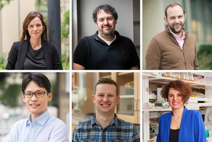 Ana Fiszbein (clockwise from top left), Michael Albro, Jonathan Huggins, Rabia Yazicigil, Andrew Sabelhaus, and Wenchao Li were awarded National Science Foundation Faculty Early Career Development Program (CAREER) awards this year to advance their research in engineering, mathematics, and molecular biology. Photos by Cydney Scott, Jackie Ricciardi, Dana J. Quigley, and courtesy of Sabelhaus.