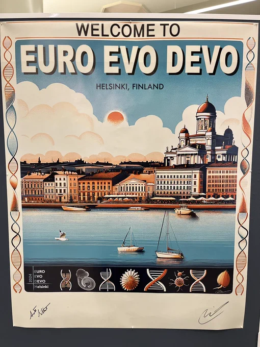 Poster image of Helsinki for EED conference