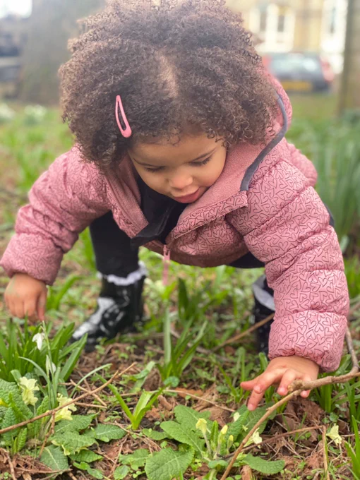 A child picking flowers in the outdoors.