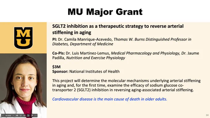 A graphic showcasing a major $3 million grant to MU for SGLT2 inhibition as a therapeutic strategy to reverse arterial stiffening in aging. The graphic lists Dr. Camila Manrique-Acevedo, Thomas W. Burns Distinguished Professor in Diabetes, Department of Medicine as the PI and Dr. Luis Martinez-Lemus, Medical Pharmacology and Physiology, Dr. Jaume Padilla, Nutrition and Exercise Physiology as the Co-PI. The graphic also lists the National Institutes of Health as a sponsor.