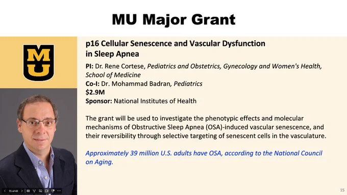 A graphic showcasing a major $2.9 million grant to MU forp16 Cellular Senescence and Vascular Dysfunction in Sleep Apnea. The graphic lists Dr. Rene Cortese, Pediatrics and Obstetrics, Gynecology and Women's Health, School of Medicine as the PI and Dr. Mohammad Badran, Pediatrics as the Co-PI. The graphic also lists the National Institutes of Health as a sponsor.A graphic showcasing a major $2.9 million grant to MU forp16 Cellular Senescence and Vascular Dysfunction in Sleep Apnea. The graphic lists Dr. Rene Cortese, Pediatrics and Obstetrics, Gynecology and Women's Health, School of Medicine as the PI and Dr. Mohammad Badran, Pediatrics as the Co-PI. The graphic also lists the National Institutes of Health as a sponsor.