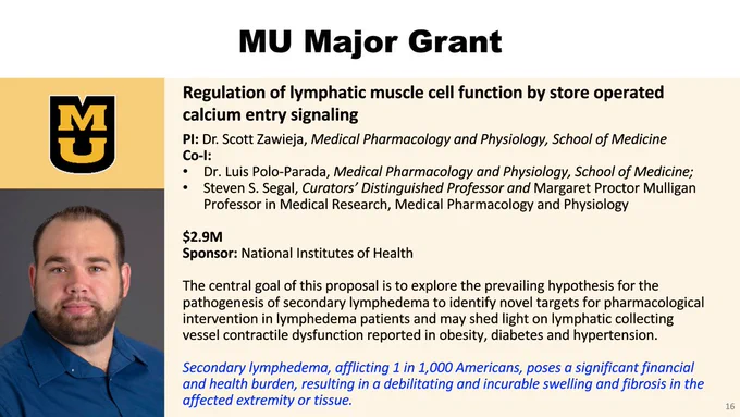 A graphic showcasing a major $2.9 million grant to MU for regulation of lymphatic muscle cell function by store operated calcium entry signaling. The graphic lists Dr. Scott Zawieja, Medical Pharmacology and Physiology, School of Medicine as the PI and Dr. Luis Polo-Parada, Medical Pharmacology and Physiology, School of Medicine; and Steven S. Segal, Curators’ Distinguished Professor and Margaret Proctor Mulligan Professor in Medical Research, Medical Pharmacology and Physiology as the Co-PI's. The graphic also lists the National Institutes of Health as a sponsor.