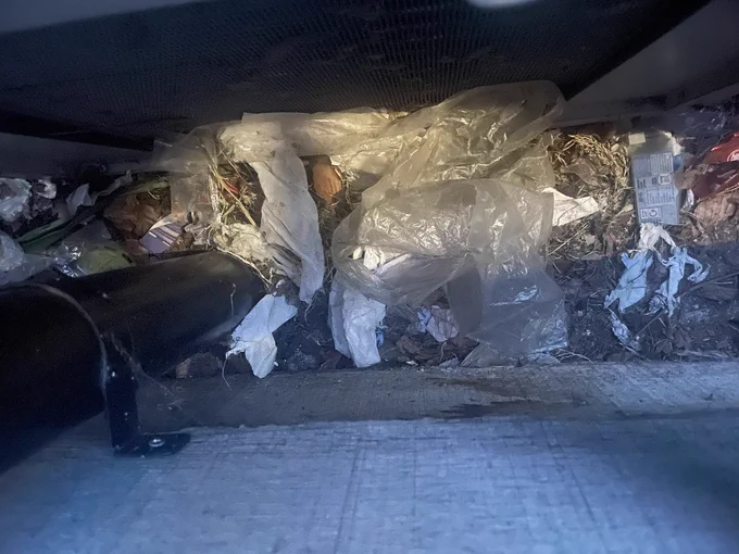 A wild hedgehog's nest, made entirely of plastic bags and food wrappers, as there were no natural materials available.