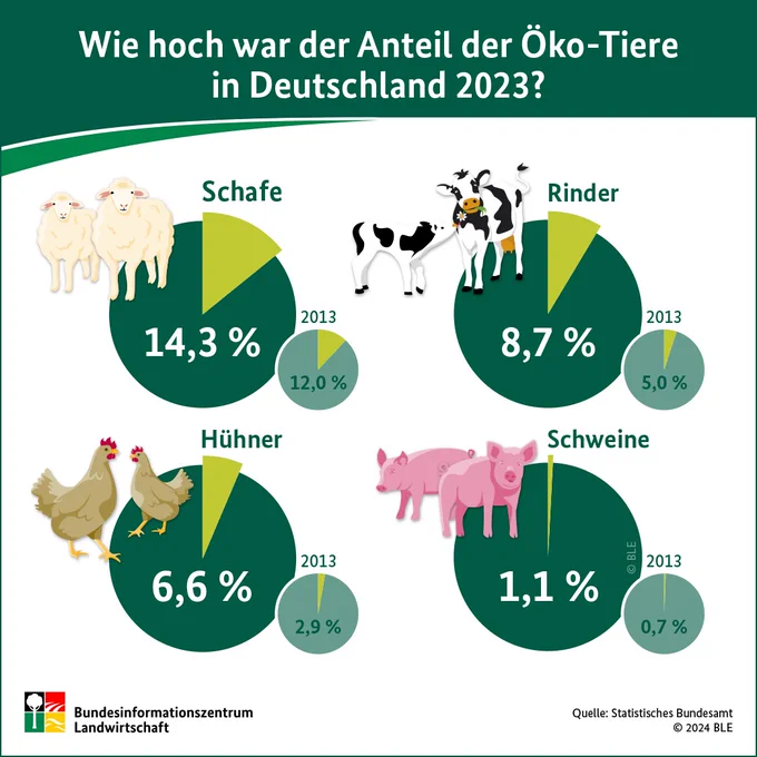 Infografik: Wie hoch war der Anteil der Öko-Tiere in Deutschland 2023? Schafe, Rinder, Hühner, Schweine